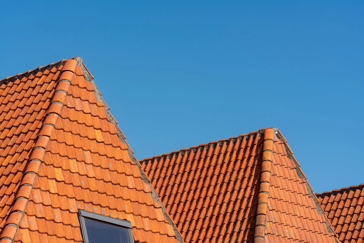 Silhouette of tiled rooflines against a dusk sky over a coastal suburb