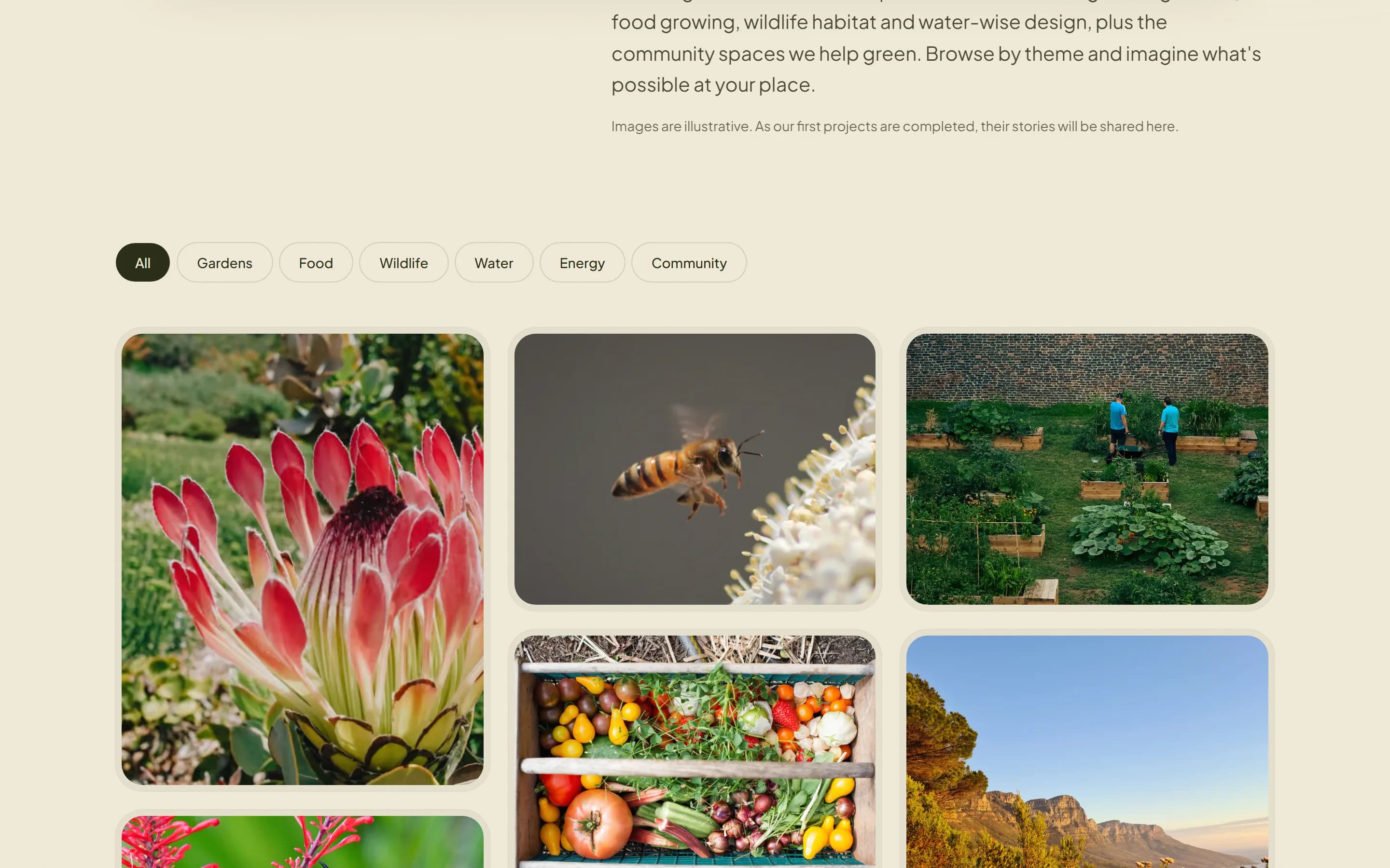 The Gallery page: theme filters above a grid of garden, wildlife and food-growing photographs, under a note that the images are illustrative.