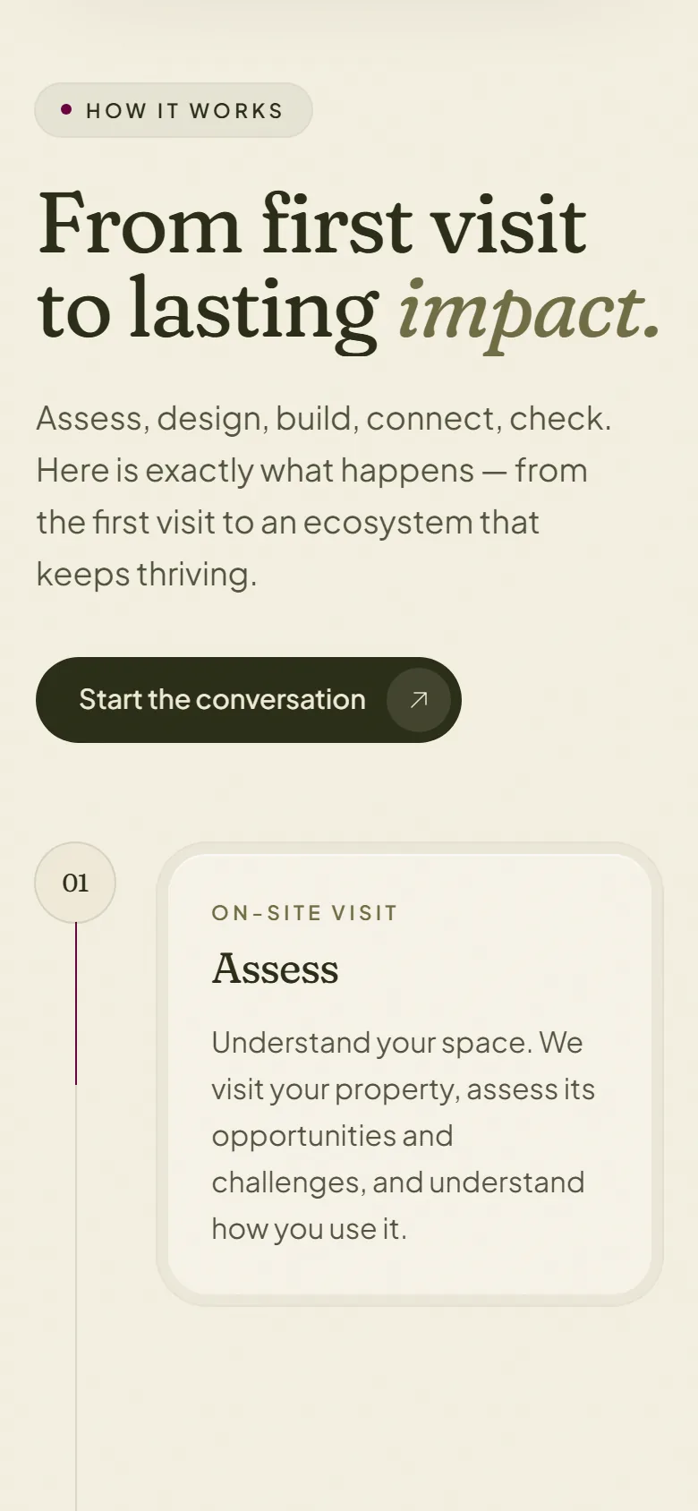 The How It Works section on a phone: the heading “From first visit to lasting impact” and the first step, Assess, on a vertical timeline.